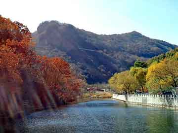 新澳天天开奖资料大全旅游团，黑帽seo技术